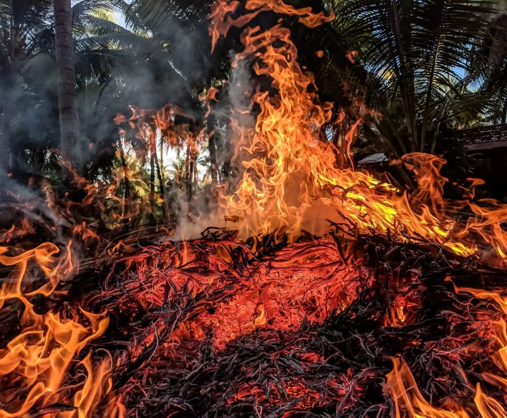 Forest fire is one example of Climate Change